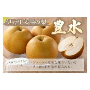 ふるさと納税 梨 佐賀県 伊万里市 2026年...の詳細画像2