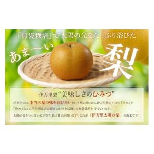 ふるさと納税 梨 佐賀県 伊万里市 2026年...の詳細画像4
