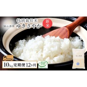 ふるさと納税 米 北海道 知内町 新米予約 12...の商品画像
