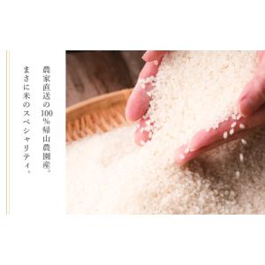 ふるさと納税 米 北海道 知内町 新米予約 1...の詳細画像2