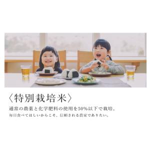 ふるさと納税 米 北海道 知内町 新米予約 1...の詳細画像3