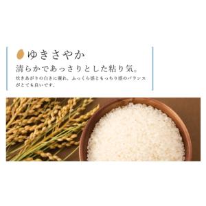 ふるさと納税 米 北海道 知内町 新米予約 1...の詳細画像4