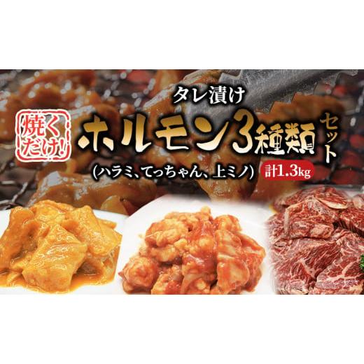 ふるさと納税 大阪府 柏原市 タレ漬けホルモンセット　1.3kg