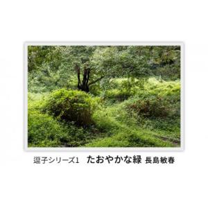 ふるさと納税 雑貨・日用品 写真 神奈川県 逗子市 写真家長島敏春　オリジナルプリント 「逗子シリーズ1　たおやかな緑」フレーム付き No.5875-0586