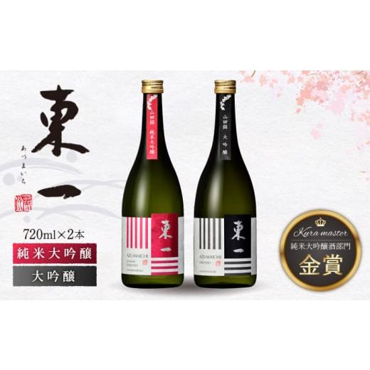 ふるさと納税 佐賀県 嬉野市 東一 大吟醸・純米大吟醸 720ml 2本 【嬉野酒店】 [NBQ00...