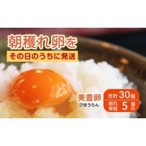ふるさと納税 卵(鶏、烏骨鶏等) 愛媛県 四国...の詳細画像1