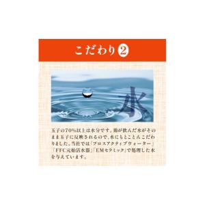 ふるさと納税 卵(鶏、烏骨鶏等) 愛媛県 四国...の詳細画像4