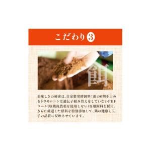ふるさと納税 卵(鶏、烏骨鶏等) 愛媛県 四国...の詳細画像5