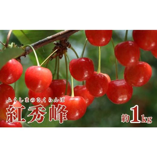 ふるさと納税 福島県 福島市 No.1803さくらんぼ(紅秀峰)約1kg【2024年発送】