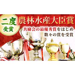 ふるさと納税 牛肉 焼肉・バーベキュー 佐賀県...の詳細画像2