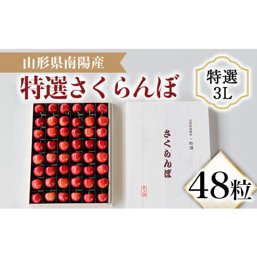 ふるさと納税 山形県 南陽市 【令和6年産先行予約】 さくらんぼ 48粒 (特選 3L大玉 木箱入り...