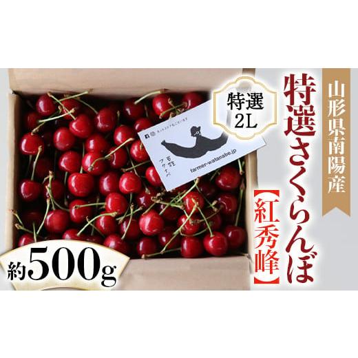 ふるさと納税 山形県 南陽市 【令和6年産先行予約】 さくらんぼ 「紅秀峰」 約500g (特選 2...