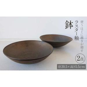 ふるさと納税 陶磁器・漆器・ガラス 富山県 立...の詳細画像1