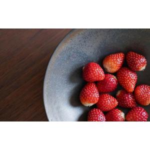 ふるさと納税 陶磁器・漆器・ガラス 富山県 立...の詳細画像4