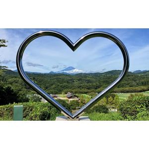 ふるさと納税 食用油 神奈川県 中井町 えごま...の詳細画像5
