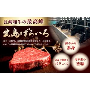 ふるさと納税 牛肉 ヒレ 長崎県 長与町 ヒレ...の詳細画像2