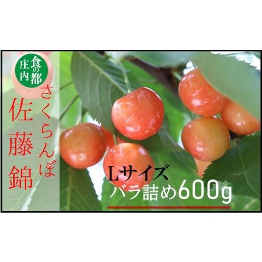 ふるさと納税 山形県 三川町 食の都庄内　【令和6年産】庄内産さくらんぼ「佐藤錦」Lサイズ600gバ...