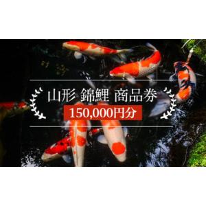 ふるさと納税 生き物 山形県 山形市 山形 錦鯉 商品券 150,000円分 FY21-490