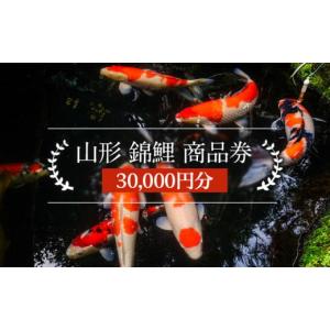 ふるさと納税 生き物 山形県 山形市 山形 錦鯉 商品券 30,000円分 FY21-491