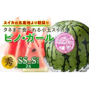 ふるさと納税 山形県 - 《先行予約 2024年度発送》タネまで食べれる小玉スイカ！【スイカの名産地より朝採り】ピノ・ガール FSY-0119｜ふるさとチョイス