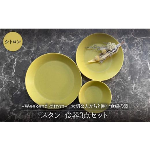 ふるさと納税 食器・グラス 皿 岐阜県 土岐市  美濃焼 Weekend citron-ウィークエン...