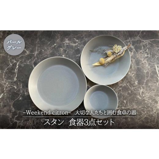 ふるさと納税 食器・グラス 皿 岐阜県 土岐市  美濃焼 Weekend citron-ウィークエン...