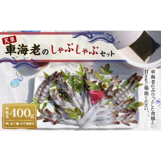 ふるさと納税 熊本県 - 車海老のしゃぶしゃぶセット 400g（200g×2）