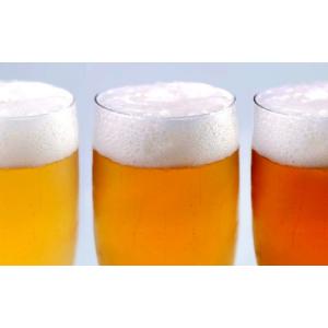 ふるさと納税 ビール 地ビール 福岡県 北九州...の詳細画像4