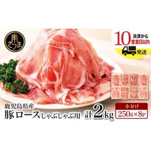 ふるさと納税 豚肉 ロース 鹿児島県 南さつま市...の商品画像