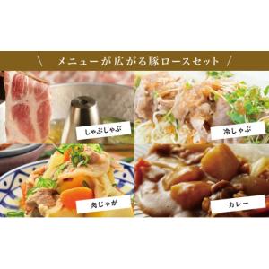 ふるさと納税 豚肉 ロース 鹿児島県 南さつま...の詳細画像3