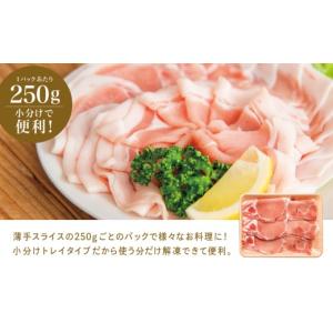 ふるさと納税 豚肉 ロース 鹿児島県 南さつま...の詳細画像4