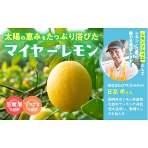 ふるさと納税 菓子 宮崎県 日南市 レモンピー...の詳細画像2