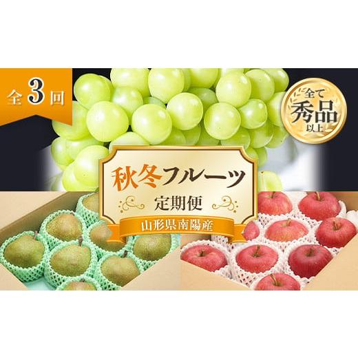 ふるさと納税 山形県 南陽市 【令和6年産先行予約】 《定期便3回》 秋冬フルーツ定期便 『フードシ...