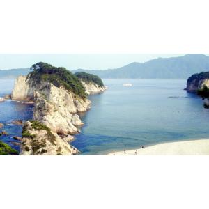 ふるさと納税 のり・海藻 わかめ 岩手県 宮古...の詳細画像5