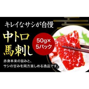 ふるさと納税 馬肉 熊本県 南小国町 国産 熊...の詳細画像2