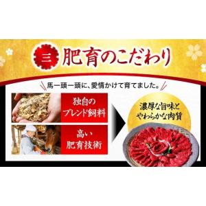 ふるさと納税 馬肉 熊本県 南小国町 国産 熊...の詳細画像5