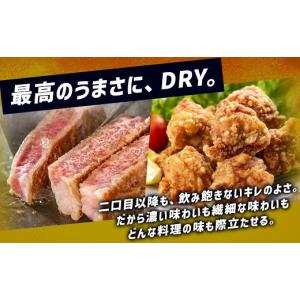 ふるさと納税 ビール 福岡県 福岡市 博多工場...の詳細画像4