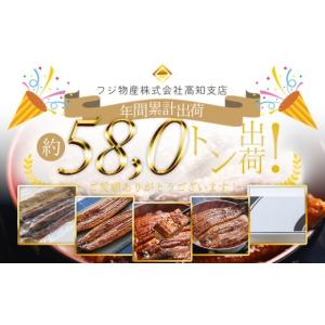 ふるさと納税 うなぎ 高知県 香南市 国産 う...の詳細画像2