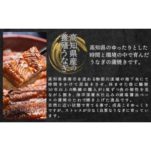 ふるさと納税 うなぎ 高知県 香南市 国産 う...の詳細画像3