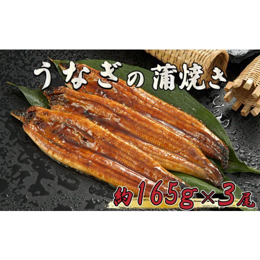 ふるさと納税 高知県 須崎市 うなぎ 鰻 蒲焼 約 165g × 3尾 減塩 醤油 ベース 蒲焼きの...