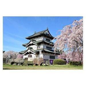 ふるさと納税 イベントやチケット等 青森県 弘...の詳細画像5