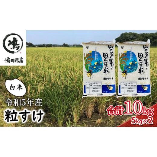 ふるさと納税 千葉県 千葉市 米 令和5年 新品種 粒すけ 10kg （ 5kg×2 ） 千葉産 白...