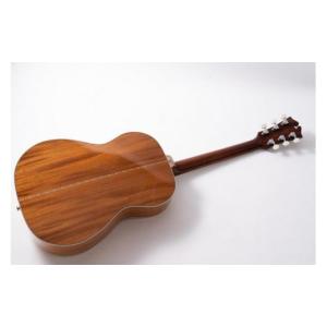 ふるさと納税 楽器 ギター・ベースギター 富山...の詳細画像4
