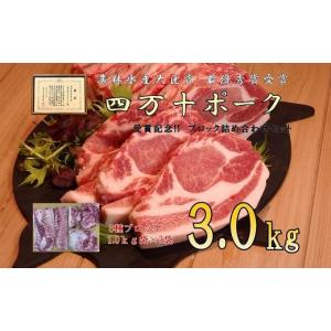 ふるさと納税 高知県 四万十町 【農林水産大臣賞・受賞記念】◆四万十町産◆ブランド豚の3種ブロック詰め合わせ3.0ｋｇセット Adf-68　豚肉 ロース バラ モモ …