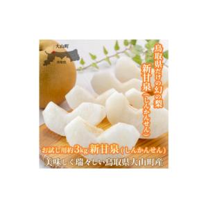 ふるさと納税 梨 鳥取県 大山町 先行予約 DS-15　新甘泉梨（しんかんせんなし）（３ｋｇ）