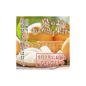 ふるさと納税 梨 鳥取県 大山町 先行予約 D...の詳細画像3