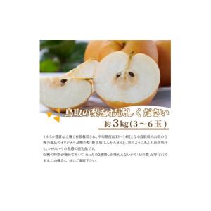 ふるさと納税 梨 鳥取県 大山町 先行予約 D...の詳細画像4