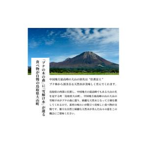 ふるさと納税 梨 鳥取県 大山町 先行予約 D...の詳細画像5