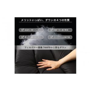 ふるさと納税 アウトドアグッズ 福井県 坂井市...の詳細画像4