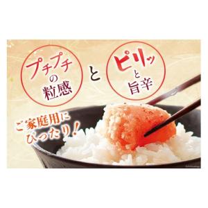 ふるさと納税 魚貝類 明太子 福岡県 筑紫野市...の詳細画像3